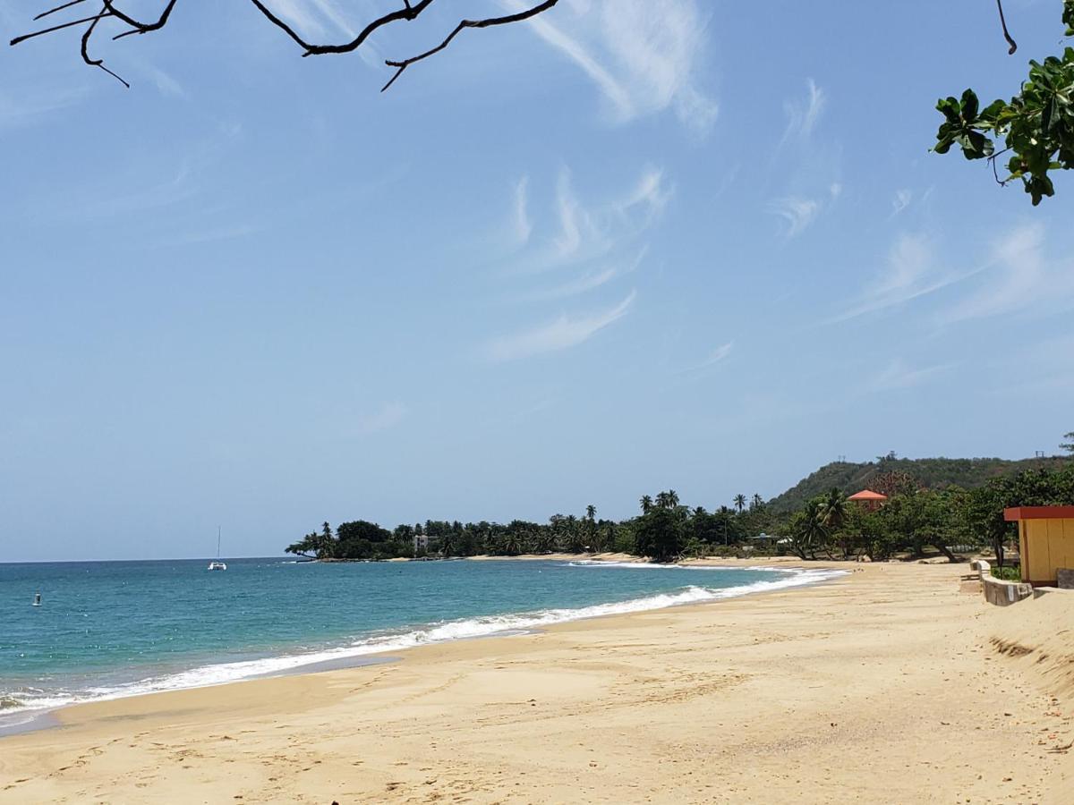 Wave View Village - Beach Front - Luxury Spot リンコン エクステリア 写真