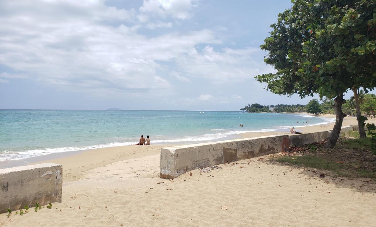 Wave View Village - Beach Front - Luxury Spot リンコン エクステリア 写真